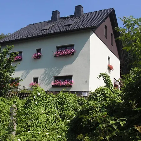 Gemuetliche In Im Erzgebirge Mit Kleiner Terrasse Apartment *
